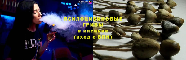 индика Балахна