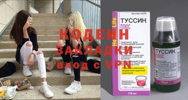 индика Балахна