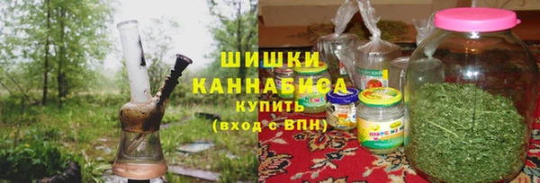 индика Балахна