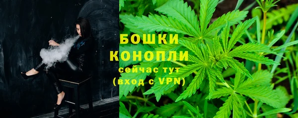 индика Балахна