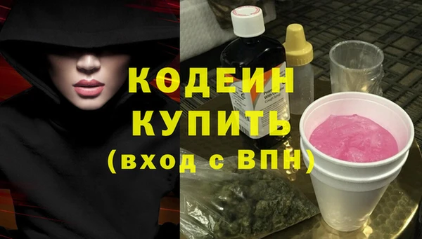индика Балахна