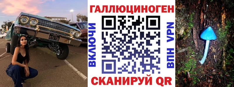 omg ТОР наркошоп Лесозаводск Псилоцибиновые грибы прущие грибы