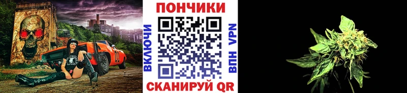 купить наркотики цена  Лесозаводск  Бошки Шишки ГИДРОПОН 